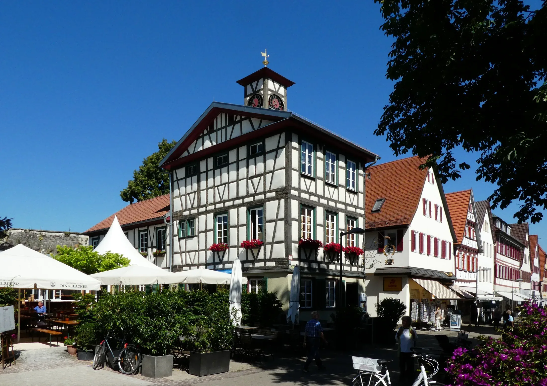 eagle77-kirchheim-3535846-1.webp