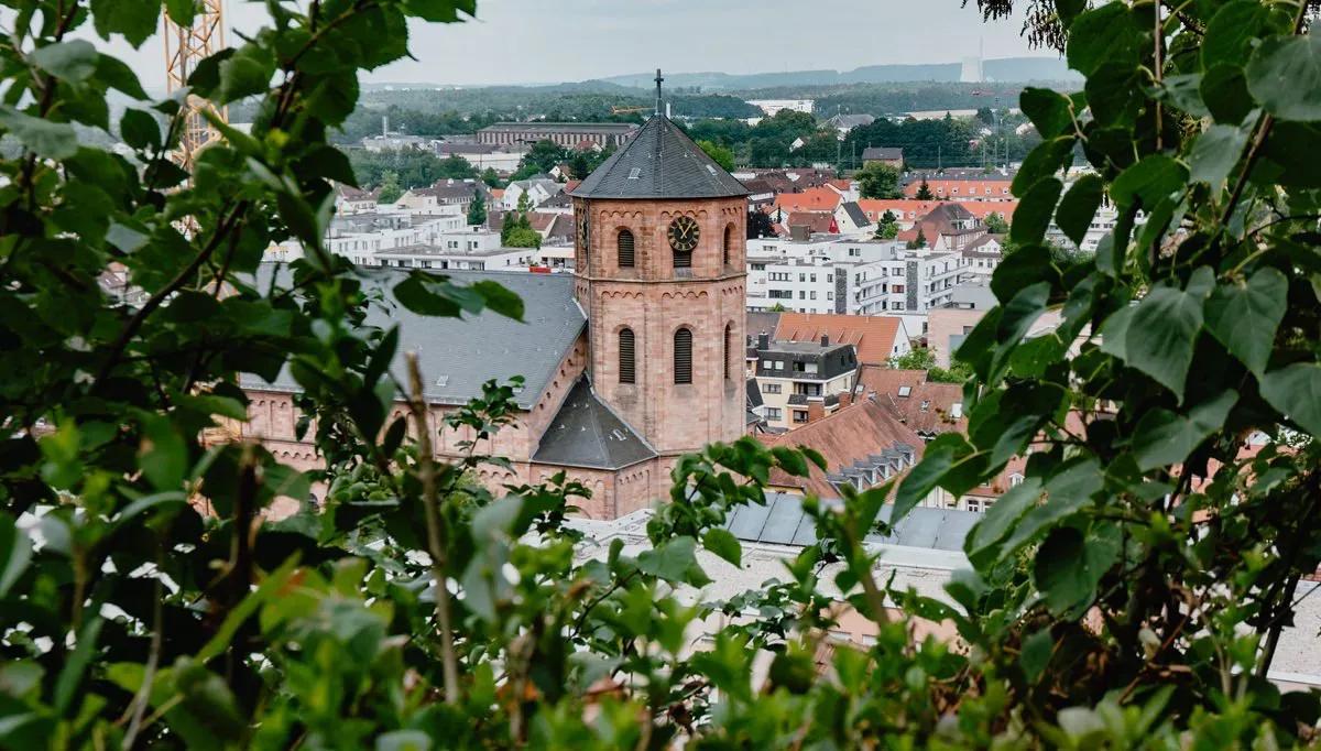 homburg_schlossberg_blick1.webp