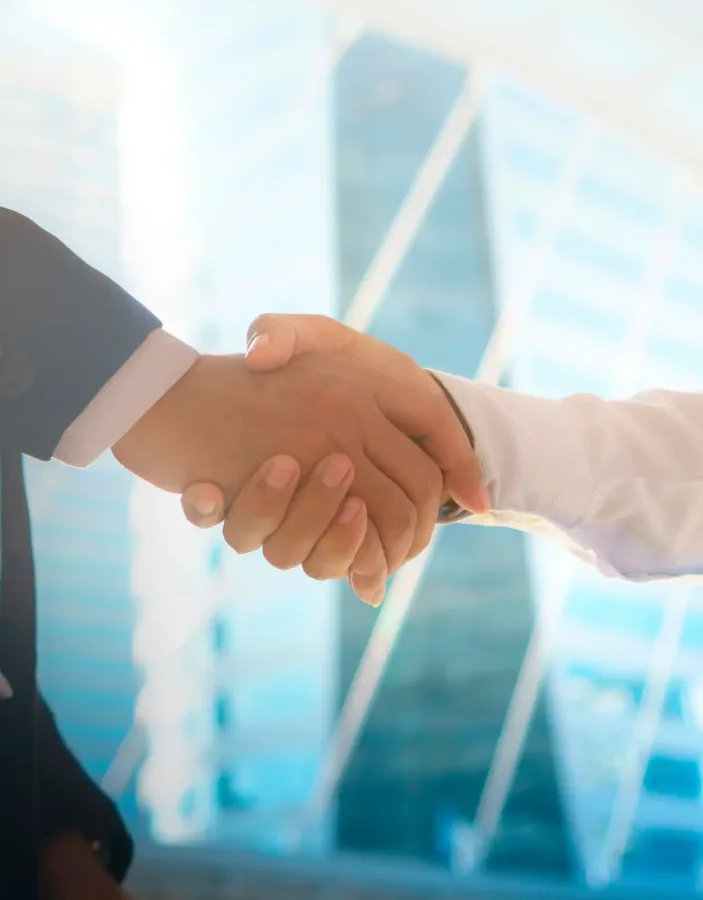 viviania - Energieberatung vor Ort - Franchise-Partner werden